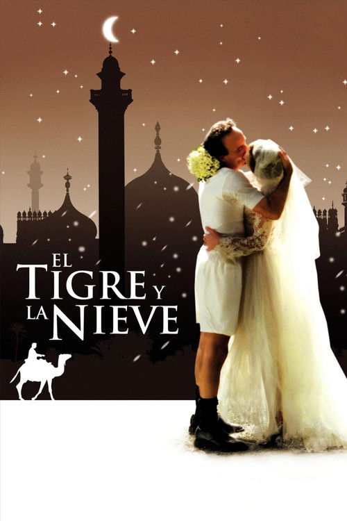 Póster de La tigre e la neve