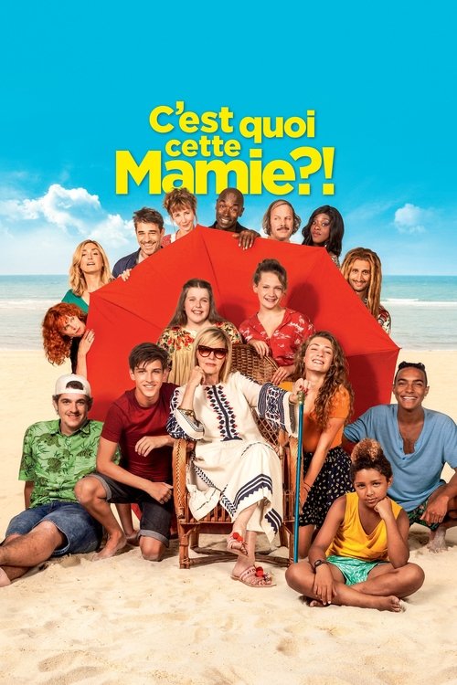 Póster de C'est quoi cette mamie ?!