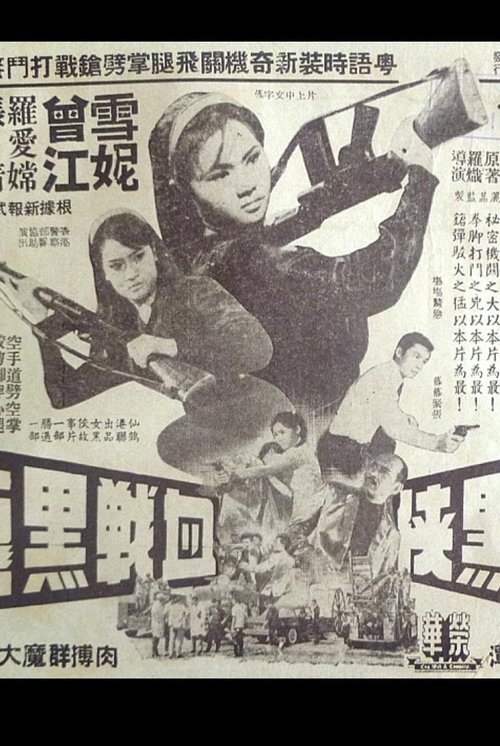 Póster de 女黑俠血戰黑龍黨