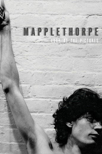 Póster de Mapplethorpe: Look at the Pictures