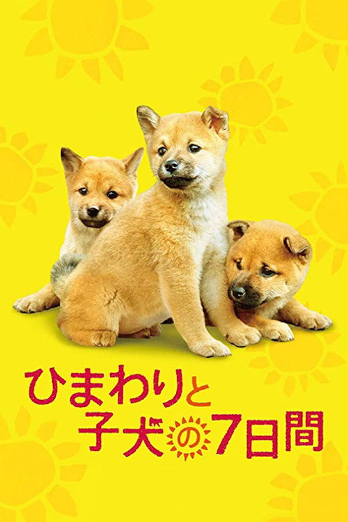 Póster de ひまわりと子犬の7日間
