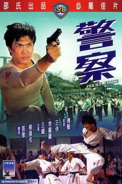 Póster de 警察