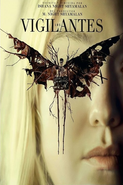 Póster de Observados