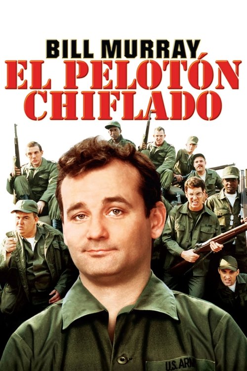 Póster de Stripes