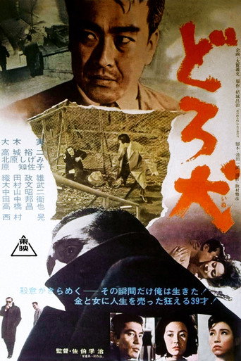 Póster de どろ犬