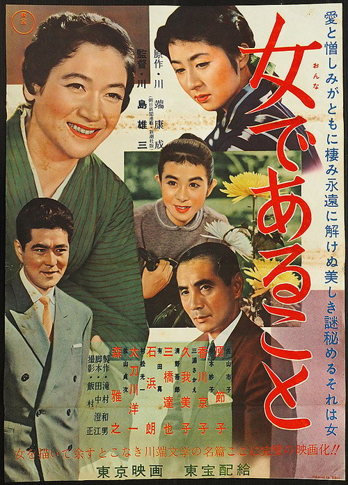 Póster de 女であること