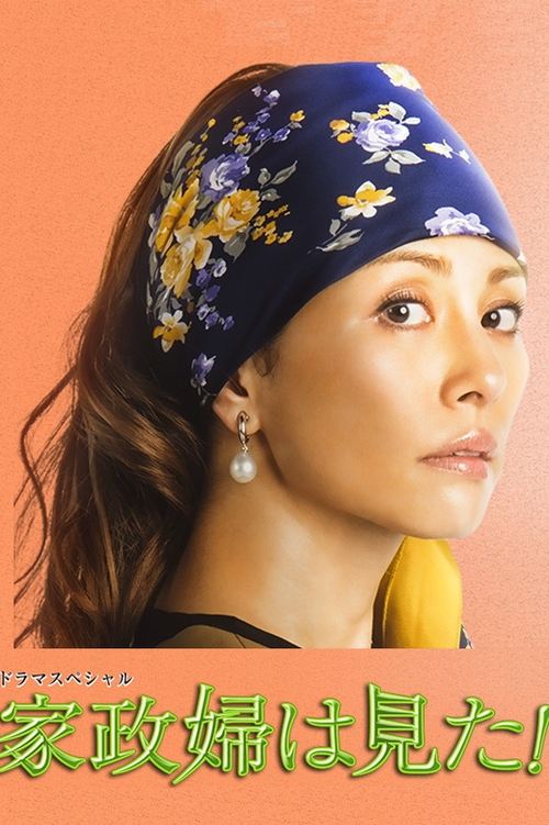 Póster de 家政婦は見た!