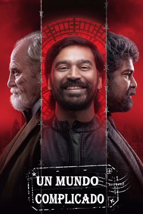 Póster de Un mundo complicado