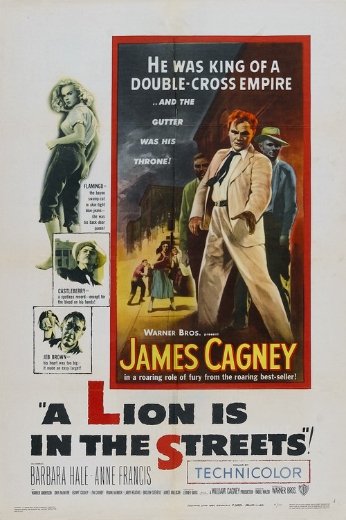 Póster de A Lion Is in the Streets
