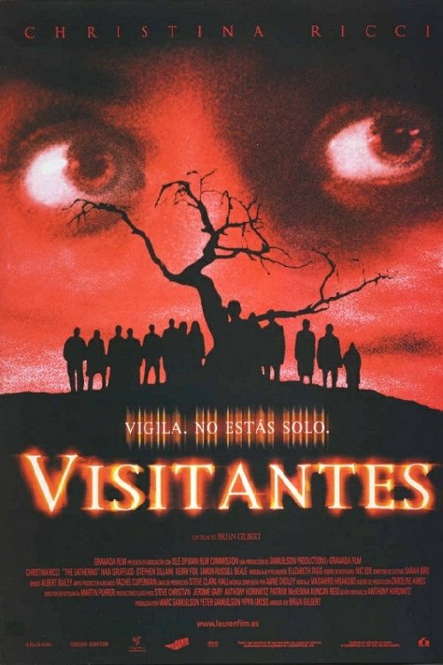 Póster de Los Testigos