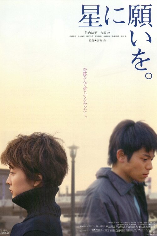 Póster de 星に願いを