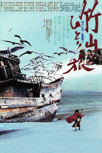 Póster de 竹山ひとり旅