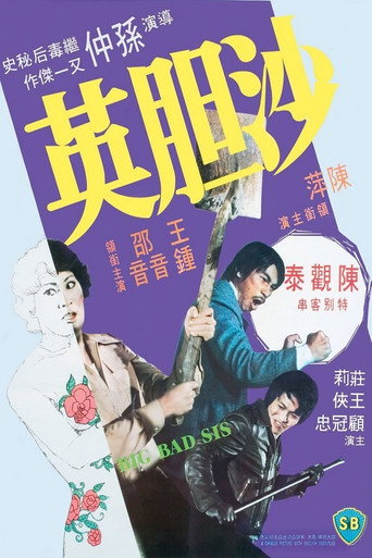 Póster de 沙膽英