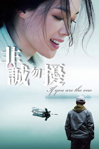 Póster de 非诚勿扰