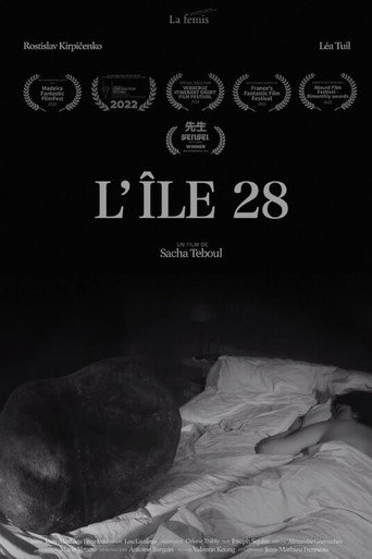 Póster de L'Île 28