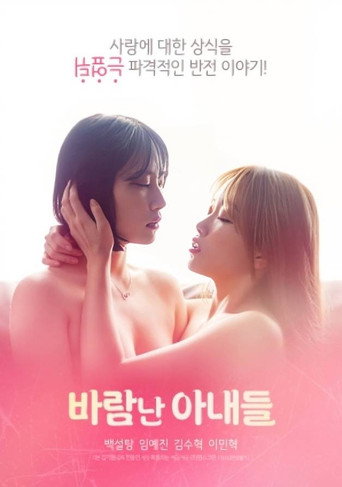 Póster de 바람난 아내들