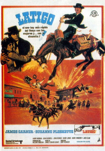 Póster de Support Your Local Gunfighter