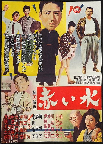 Póster de 赤い水