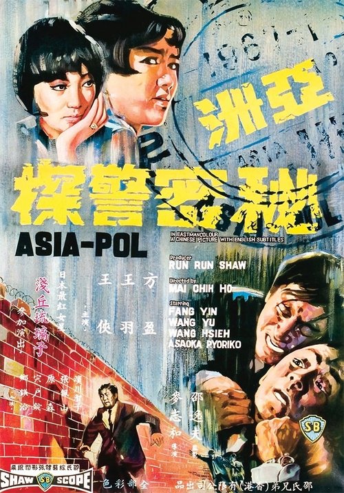 Póster de 亚洲秘密警探