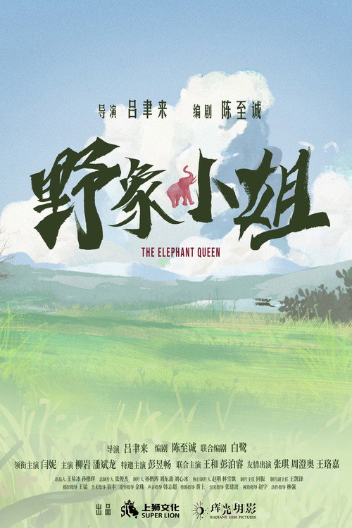 Póster de 野象小姐