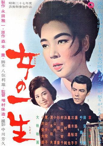 Póster de 女の一生