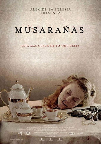 Póster de Musarañas