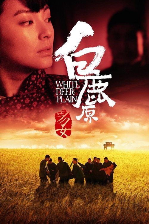 Póster de 白鹿原