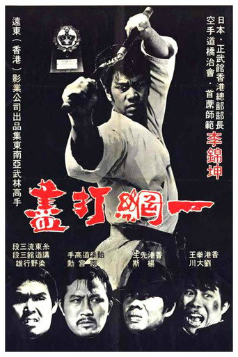 Póster de 一網打盡