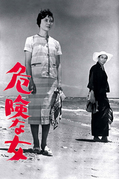 Póster de 危険な女