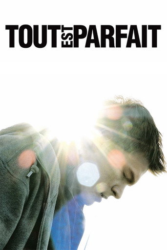 Póster de Tout est parfait