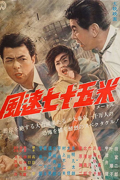Póster de 風速七十五米