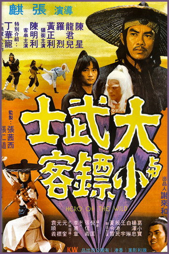 Póster de 大武士與小票客