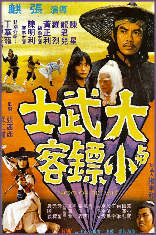 Póster de 大武士與小票客