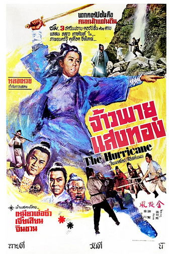 Póster de Jin Xuan Feng