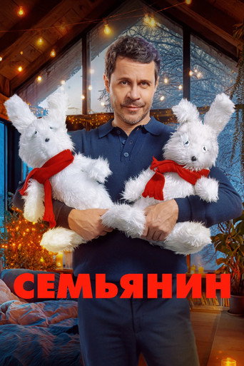 Póster de The Family Man