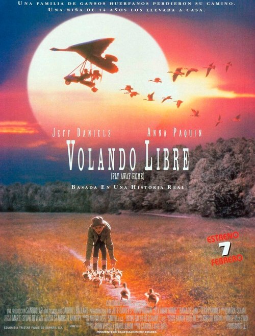 Póster de Volando a casa