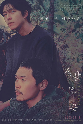 Póster de 정말 먼 곳
