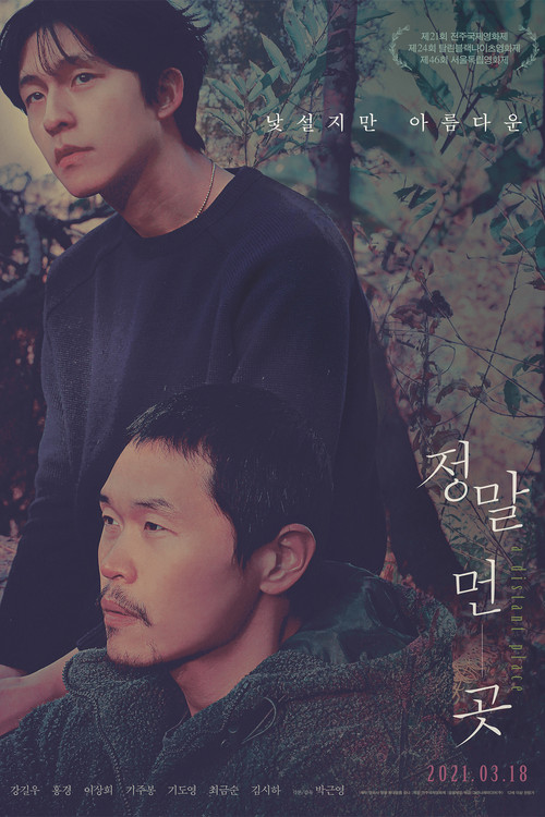 Póster de 정말 먼 곳