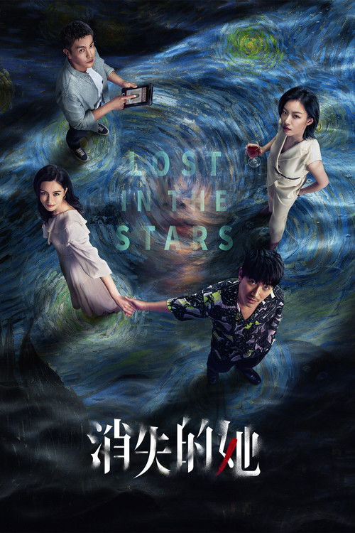 Póster de 消失的她