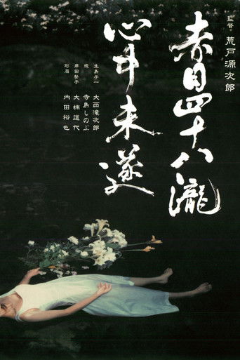 Póster de 赤目四十八瀧心中未遂
