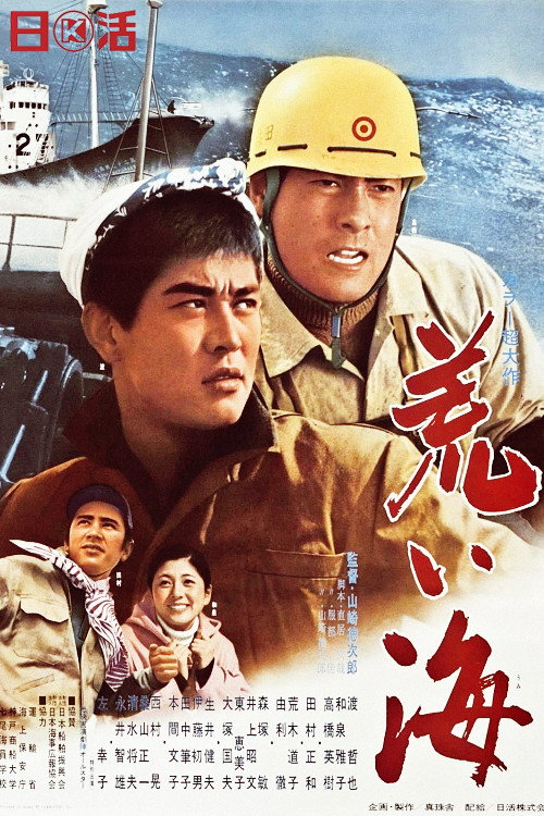 Póster de 荒い海