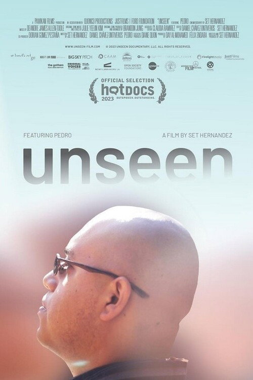 Póster de unseen