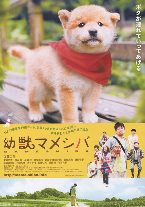 Póster de 幼獣マメシバ