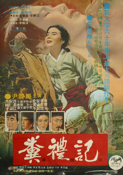 Póster de 분례기