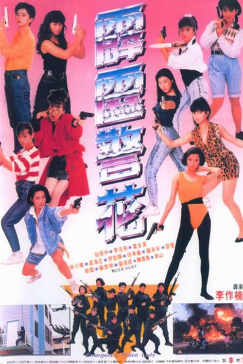 Póster de 霹靂警花