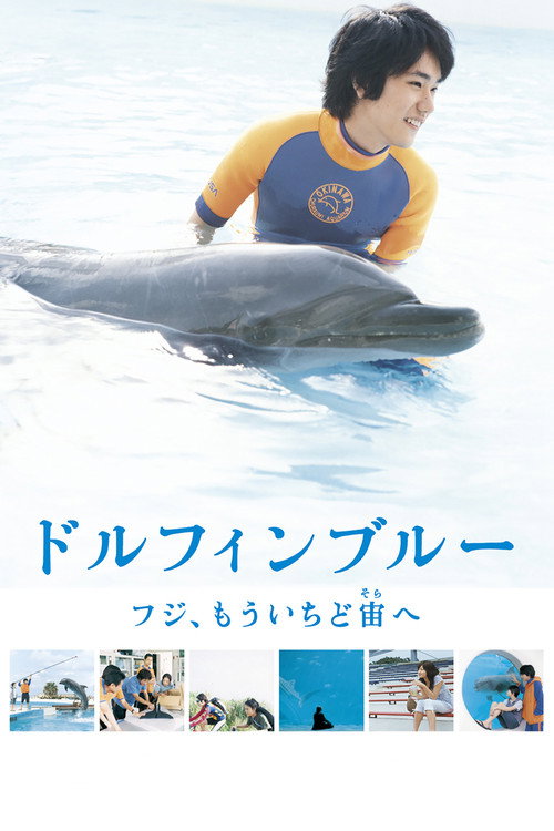 Póster de ドルフィンブルー フジ、もういちど宙へ
