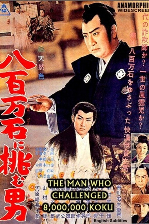 Póster de 八百万石に挑む男