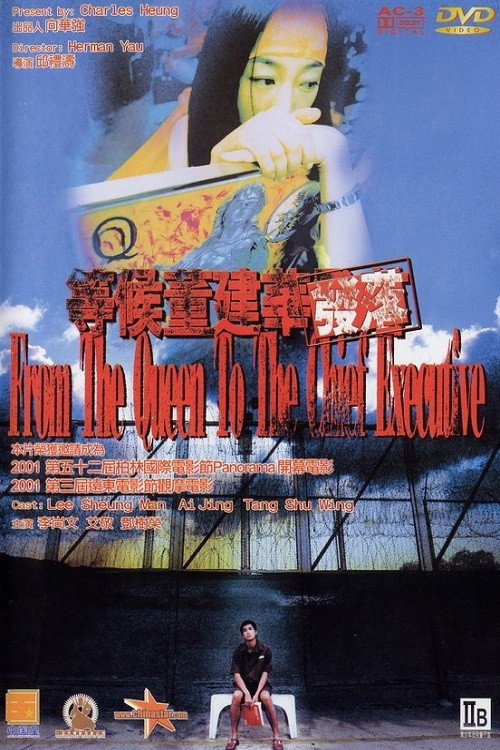 Póster de 等候董建華發落