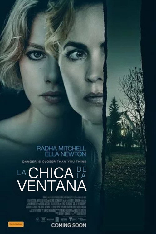 Póster de La chica de la ventana
