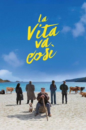 Póster de La vita va così